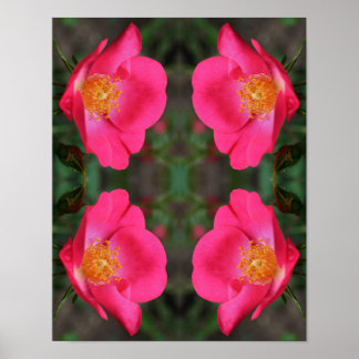 Vivid Pink Rose Petals Abstract Floral Art Poster