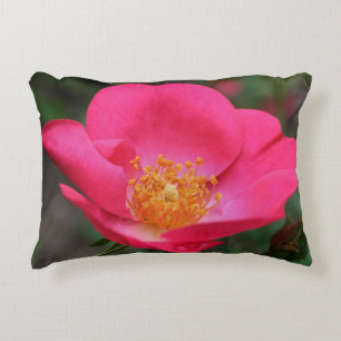 Vivid Pink Rose Petals   Accent Pillow
