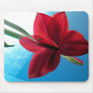 Vivid red Amaryllis Flower Mouse Pad