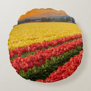 Vivid Red and Gold Tulips in Skagit County Accent Round Pillow