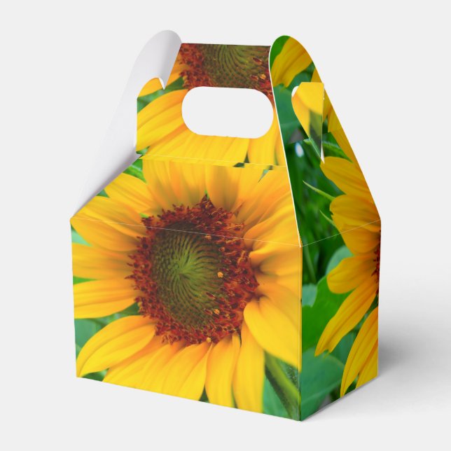 Vivid Sunflower Favor Box (Back Side)