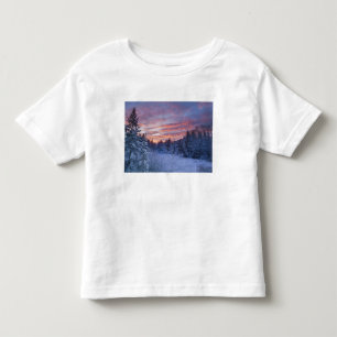 Vivid sunset paints the sky above wintery toddler t-shirt