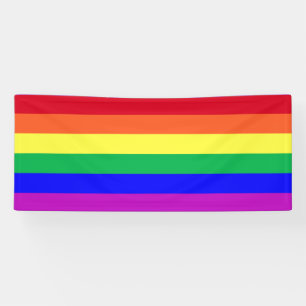 Vivid Vibrant Colors LGBTQ Classic Rainbow Stripes Banner
