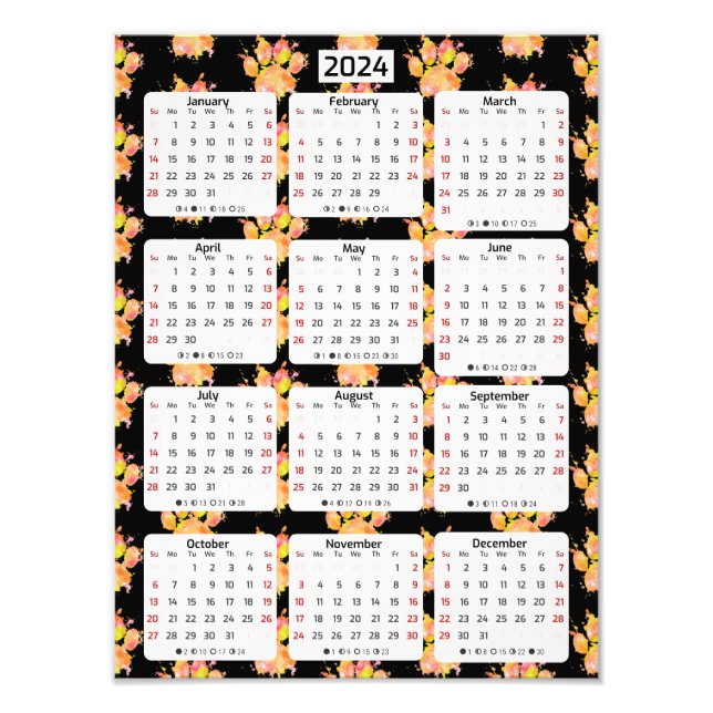 Vivid Watercolor Splash Dog Paw 2024 Calendar Photo Print (Front)