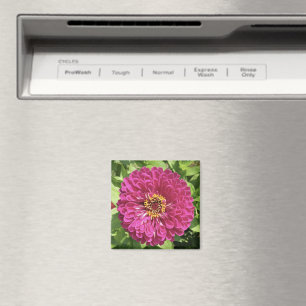 Vivid Zinnia Flower Photo Magnet