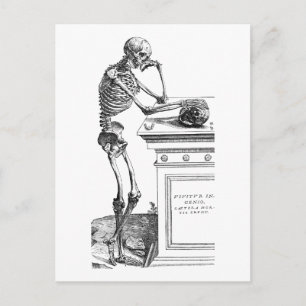 Vivitur Ingenio - Skeleton Postcard