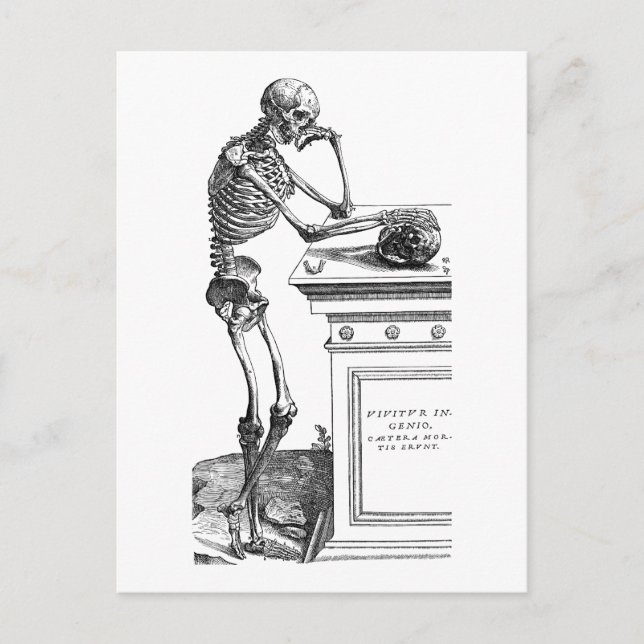 Vivitur Ingenio - Skeleton Postcard (Front)