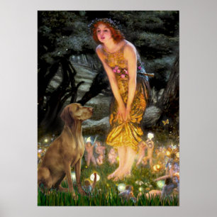 Vizsla 1  - MidEve Poster