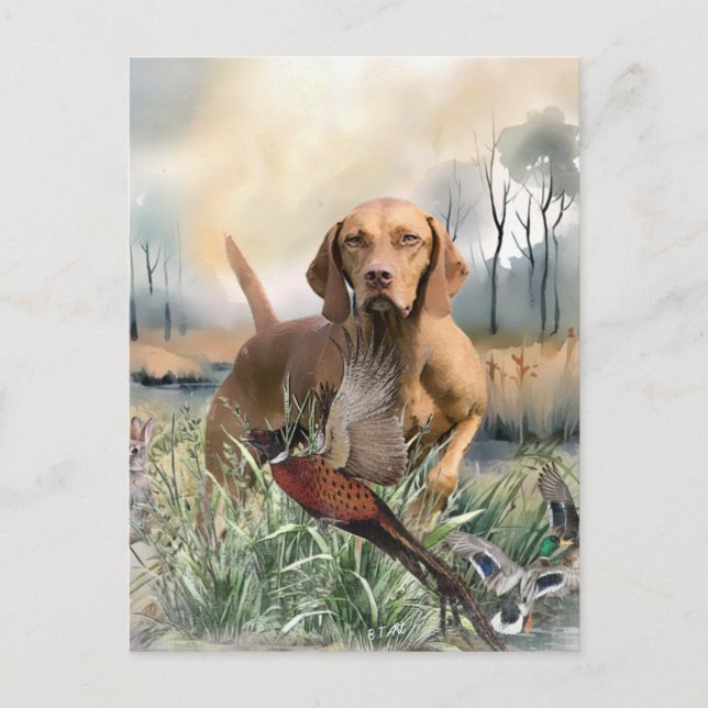 Vizsla  , Art  Postcard (Front)