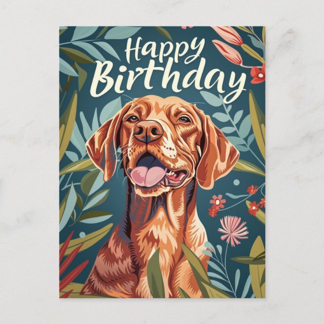 Vizsla Birthday Postcard (Front)