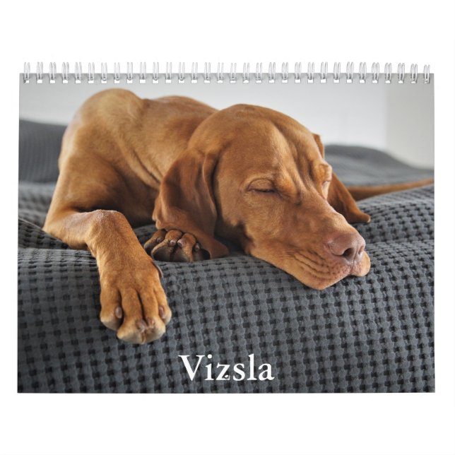 Vizsla Calendar (Cover)