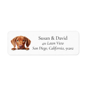 Vizsla Chien race Amateurs d'animaux domestiques
