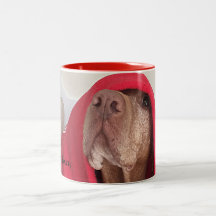 Vizsla Coffee Mug