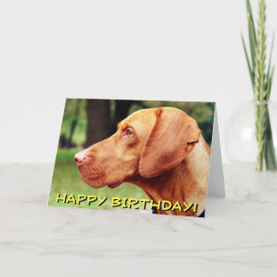 Vizsla dog birthday card
