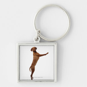 Vizsla Dog Keychain