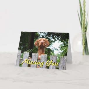 Vizsla dog "Missing You card" Card