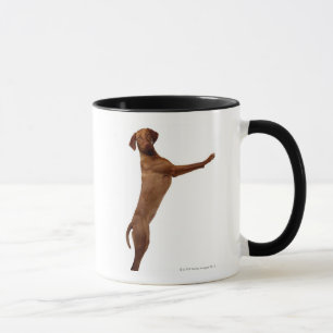 Vizsla Dog Mug