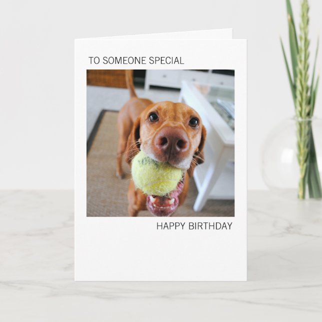Vizsla Dog With Ball In Mouth Birthday Card (Front)