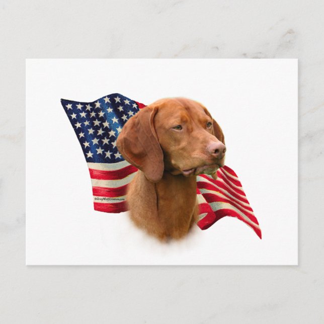Vizsla Flag Postcard (Front)