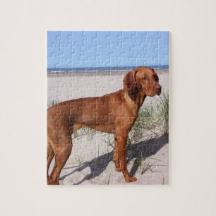 vizsla full jigsaw puzzle