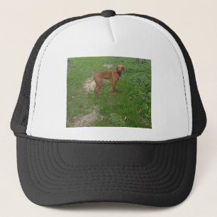 vizsla full trucker hat