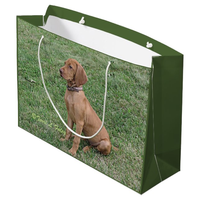 Vizsla Gift Bag (Back Angled)