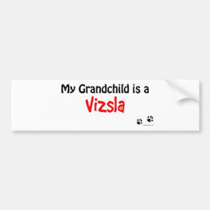 Vizsla Grandchild Bumper Sticker