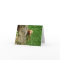 Vizsla Greeting Cards