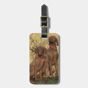 Vizsla Hound Dogs Luggage Tag