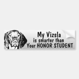 Vizsla is smarter than honour student - funny bumper sticker