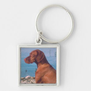 Vizsla Keychain