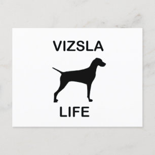 vizsla life postcard