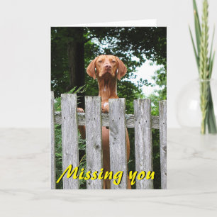 Vizsla "Missing You" card