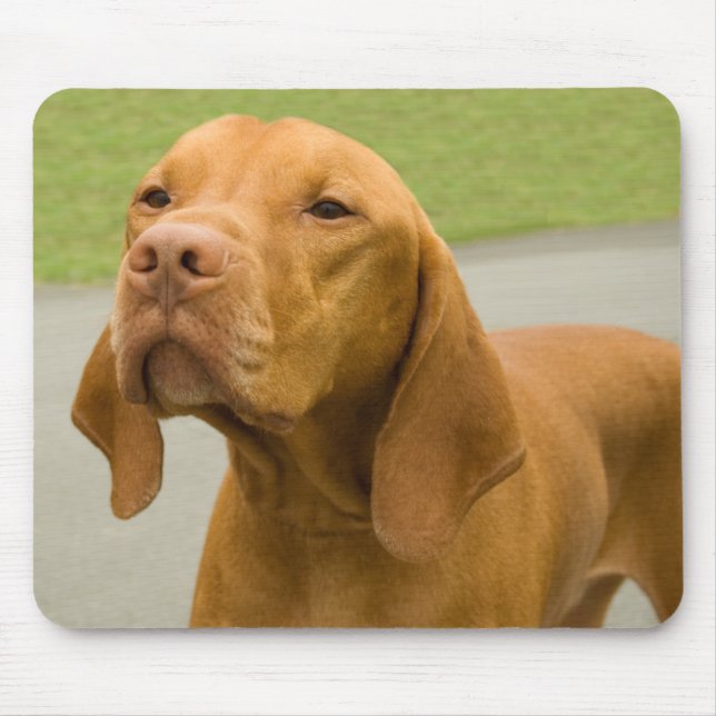 Vizsla Mouse Pad (Front)