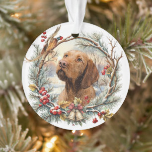 Vizsla Noël 