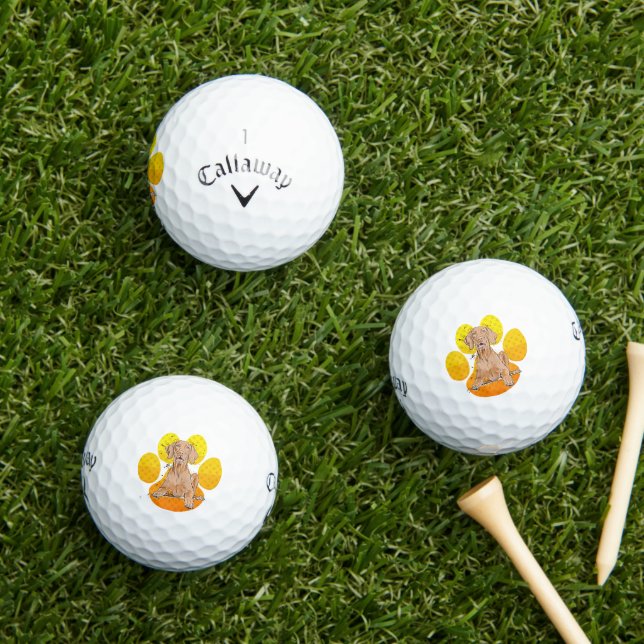 Vizsla On Paw Cartoon Golf Balls (Insitu Grass)