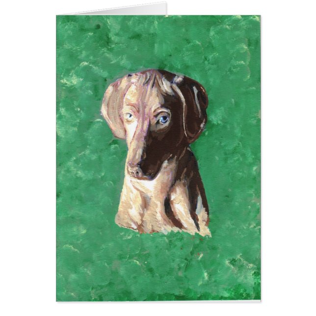 Vizsla, Pointeur hongrois (Devant)