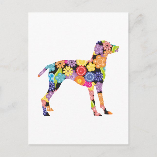 Vizsla Postcard (Front)