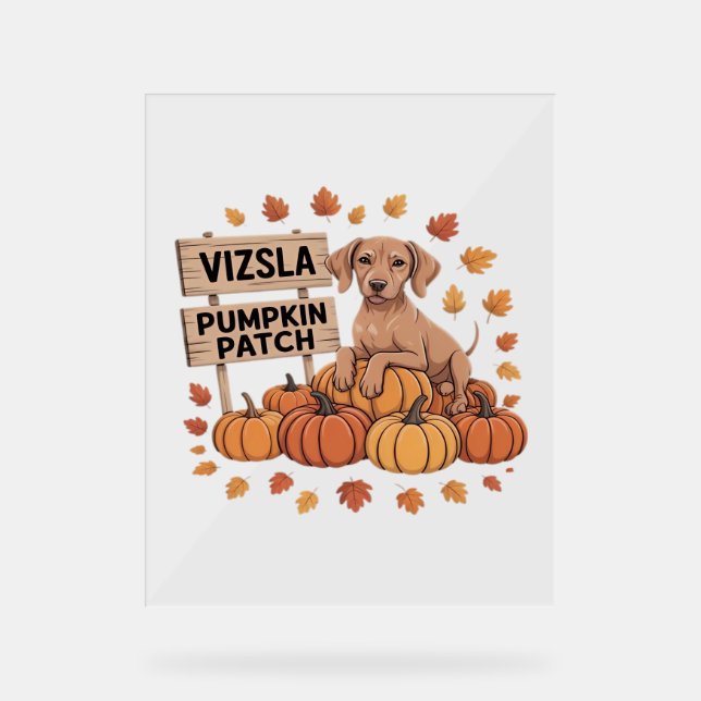 Vizsla Pumpkin Patch Dog Lovers Thanksgiving Hallo Acrylic Sign (Front)