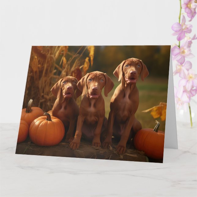 Vizsla Puppy Autumn Delight Pumpkin Card (Orchid)