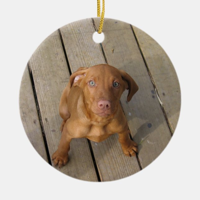 vizsla puppy ceramic ornament (Front)