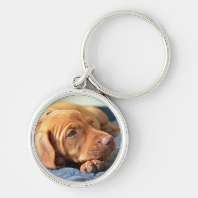 Vizsla Puppy Resting On Its Paw Keychain (Front)