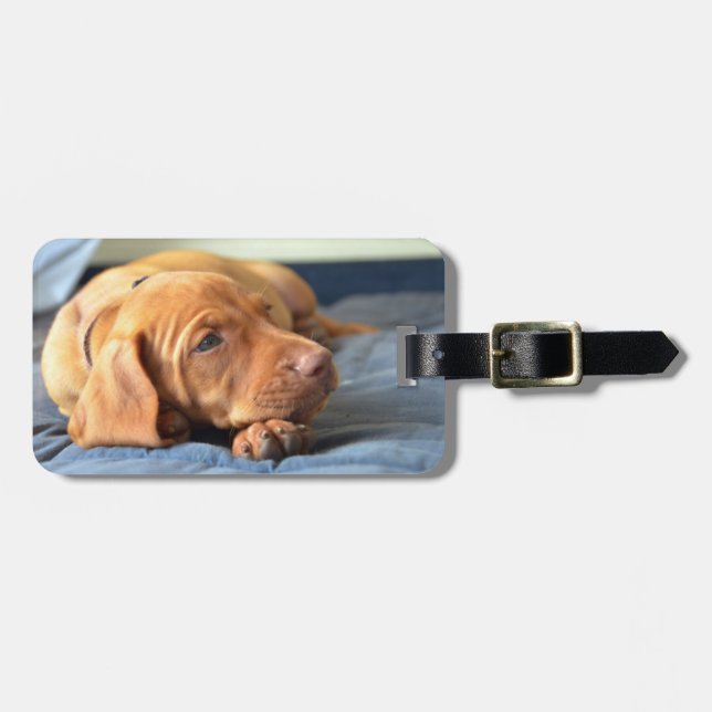 Vizsla Puppy Resting On Its Paw Luggage Tag (Front Horizontal)