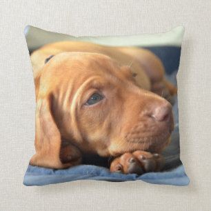 Vizsla Puppy Resting On Its Paw Throw Pillow