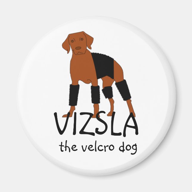 Vizsla The Velcro Dog magnet (Front)
