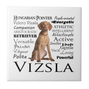 Vizsla Traits Tile