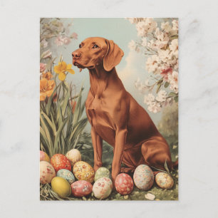 Vizsla Vintage Easter  Postcard