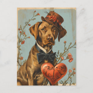 Vizsla Vintage Valentine's Day  Postcard