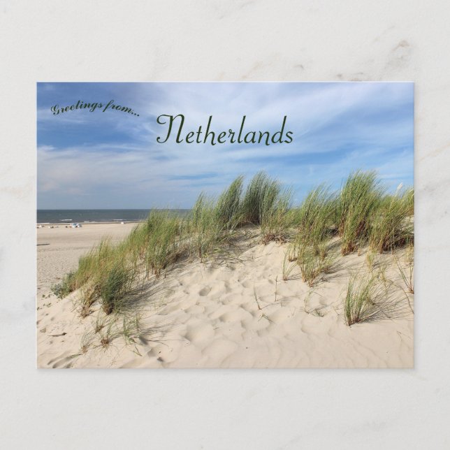 Vlieland Beach Dunes Netherlands Postcard (Front)
