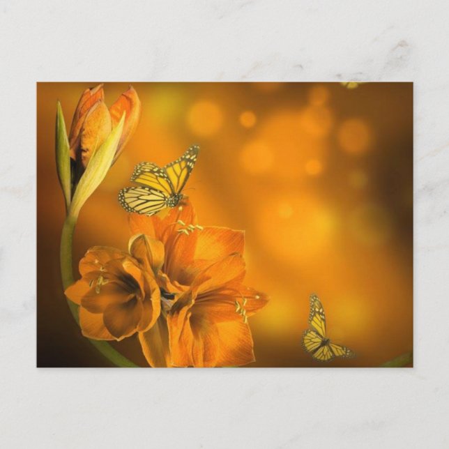 vlinders oranje postcard (Front)